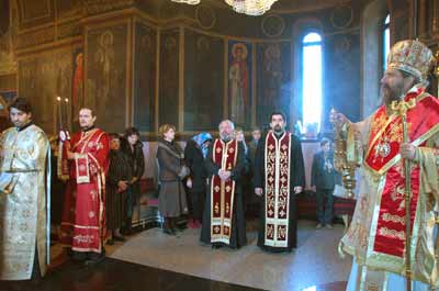 agat.stefan.pimen3.jpg agat.stefan.pimen3.jpg