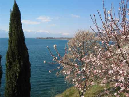 Ohrid.M.Marjan.jpg