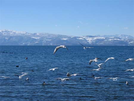 Ohrid.M.Marjan.jpg