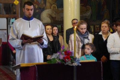 Stefan.L.Josif.jpg Stefan.L.Josif.jpg