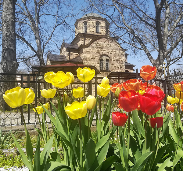 Mirkovci.Manastir.sv.Ilija