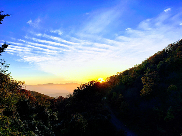 Patot.na.podviznikot33