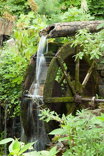 Patot.na.podviznikot56